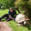 Zoo shells out for giant tortoise physio