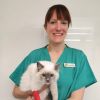 Vet nurse Marianne Segev, cat advocate at City Vets in Exeter