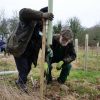 Tree planting. Photo: Catherine Hadler