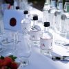 Devon Gin Tasting