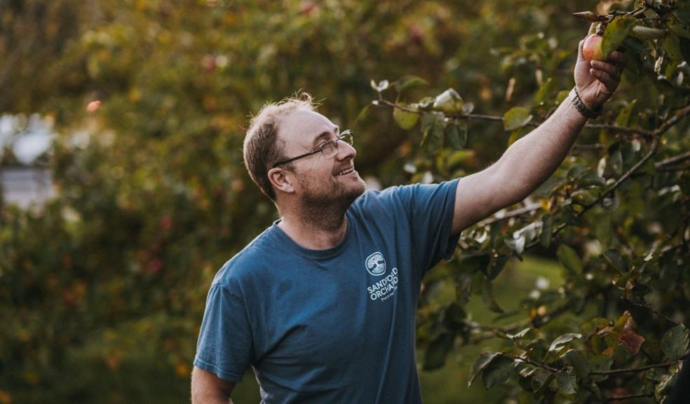 Sandford Orchards' Bumper Harvest