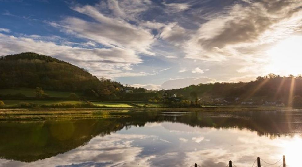 Christmas Guided Walk at Seaton Wetlands