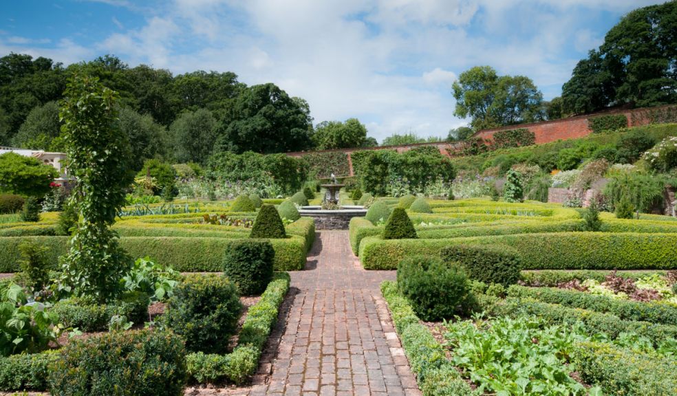 The gardens at Holcombe Rogus