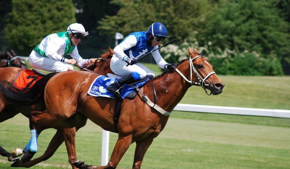 exeter races