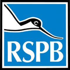 rspbsouthwest