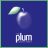 The Plum Consultancy