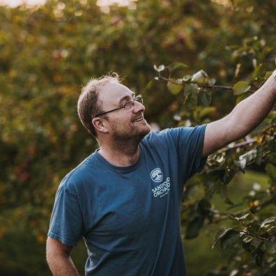 Sandford Orchards' Bumper Harvest