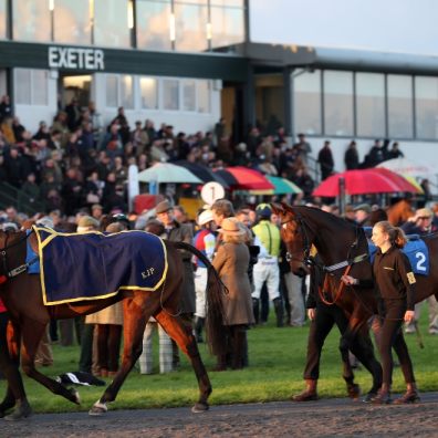 horses, racing, Exeter Racecourse