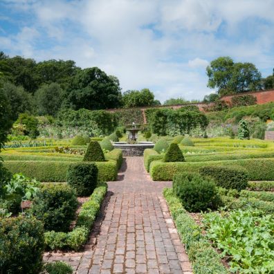 The gardens at Holcombe Rogus