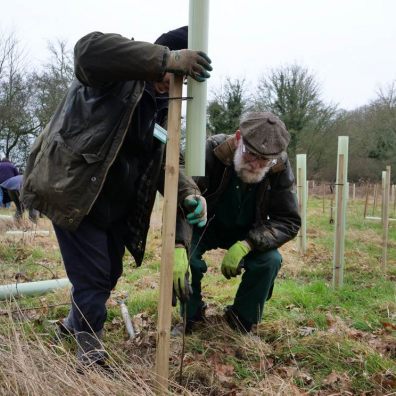 Tree planting. Photo: Catherine Hadler