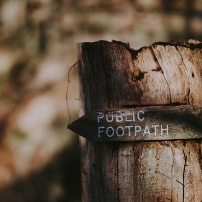 A photograph of a public footpath sign on a treestump, with woodland behind