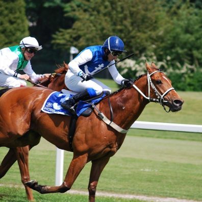 exeter races